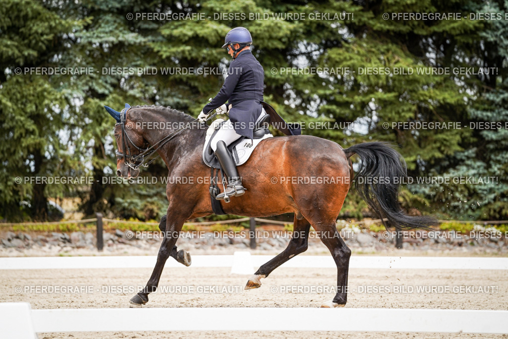 DSC05054 | Pferdegrafie