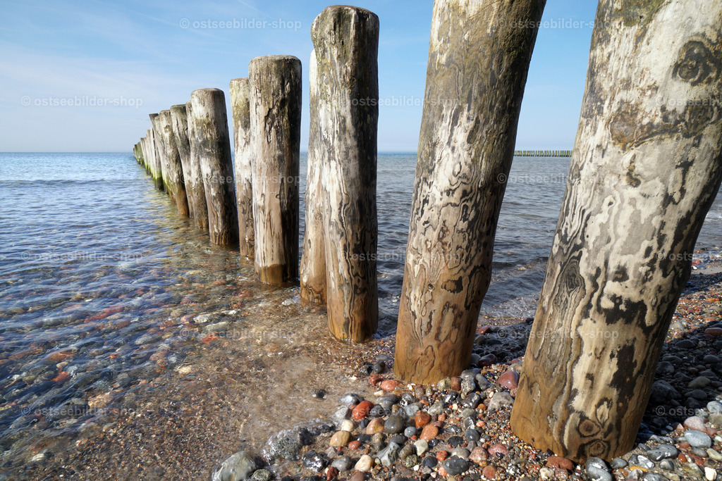 Strandbuhne bei Nienhagen | Holzpfähle einer Buhne am Strand von Nienhagen.