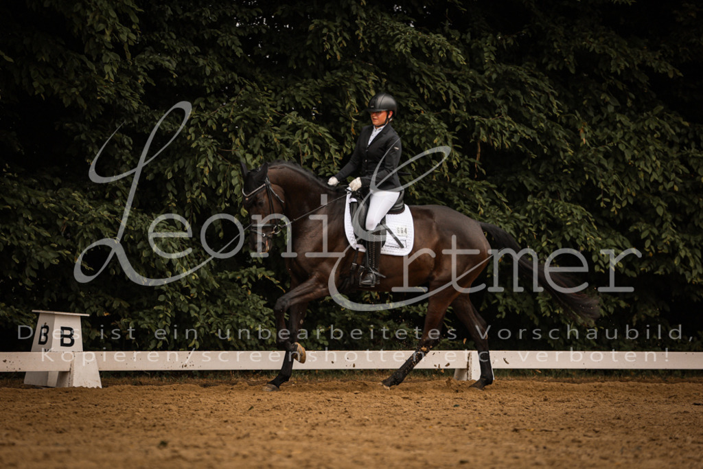 DoDrA00405 | Leoni Ertmer Photography - Realisiert mit Pictrs.com