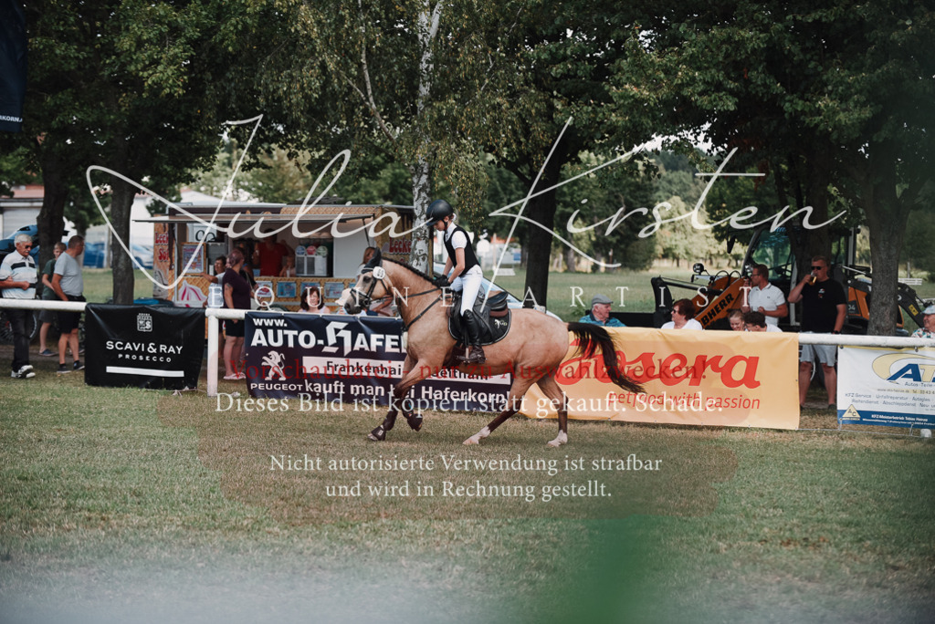 DSC_5843 | Pferde- und Turnierfotografie in Westsachsen. Pferdeportraits, Auftragszeichnungen und intuitive Kunst.