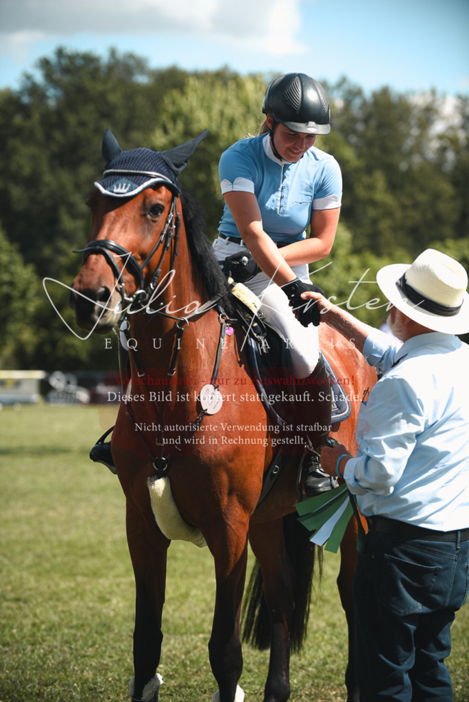 DSC_6825 | Pferde- und Turnierfotografie in Westsachsen. Pferdeportraits, Auftragszeichnungen und intuitive Kunst.