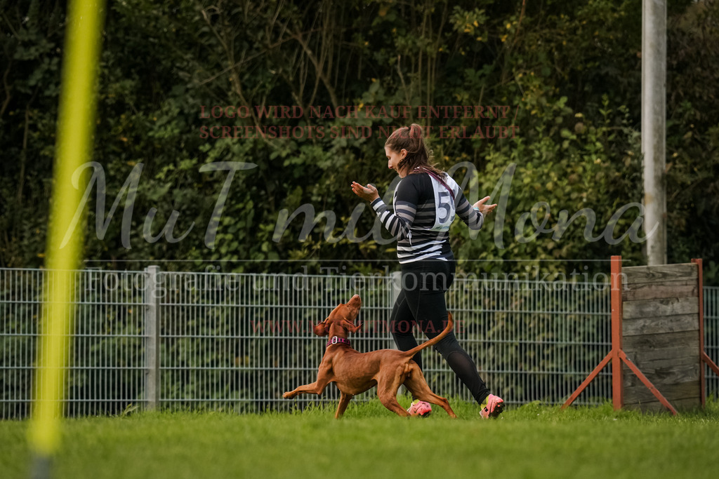 20251005_THS_Turnier-721 | MuT (Mensch und Tier) mit Mona - Fotografie und Tierkommunikation - Realisiert mit Pictrs.com
