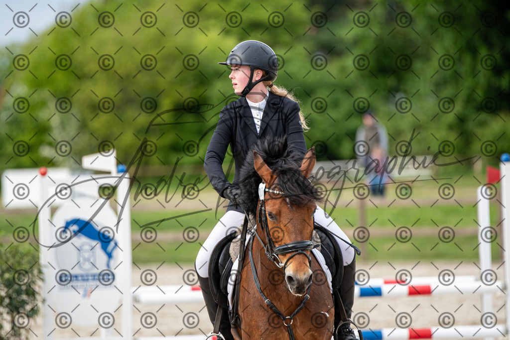 KPT_7102 | andre_photographic