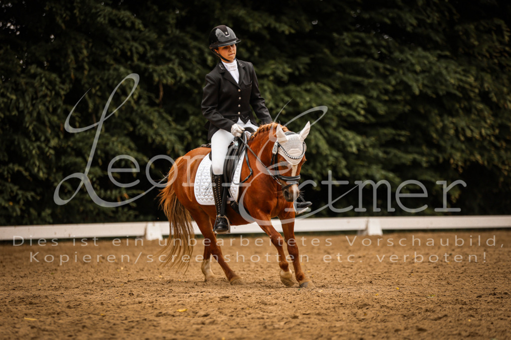 DoDrWB00229 | Leoni Ertmer Photography - Realisiert mit Pictrs.com