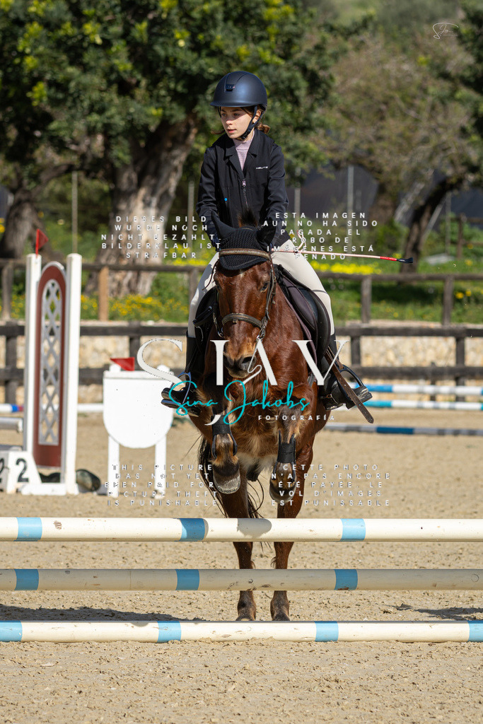 IMG_5971 | s-jay-photography - Realisiert mit Pictrs.com