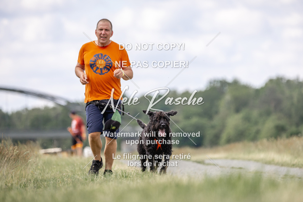 nelerasche_BuHu2026_SaCC1100-1200_42 | nelerasche