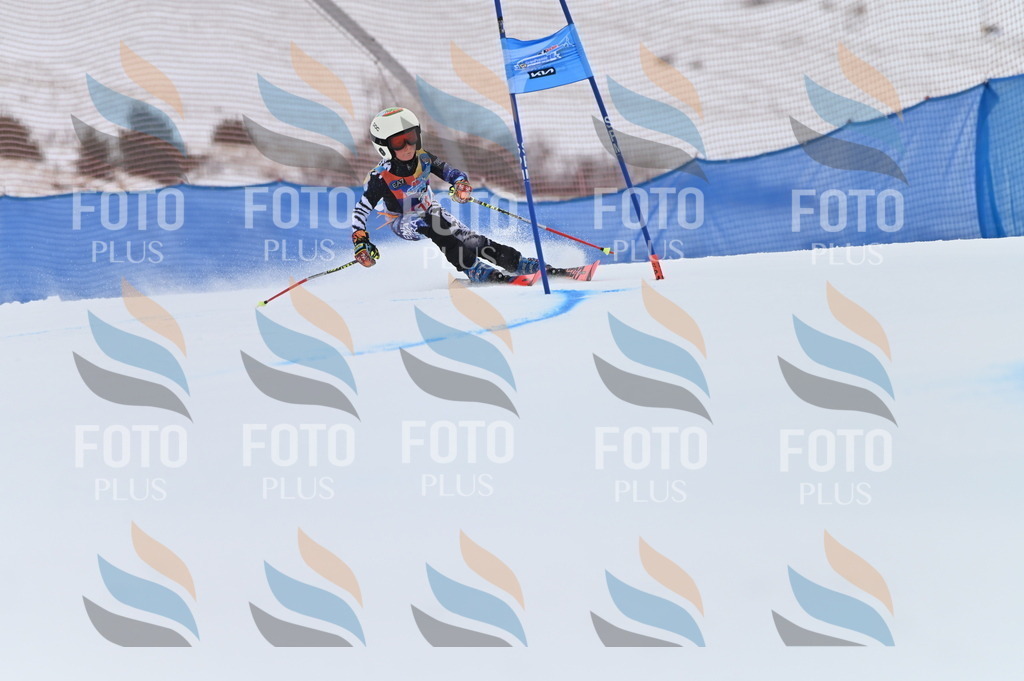 BGV_1710 | holidayphoto