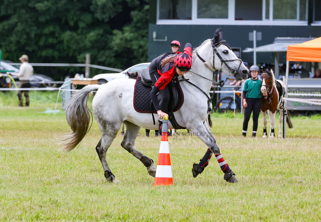 1B3A2697 | Reitsport Reiten