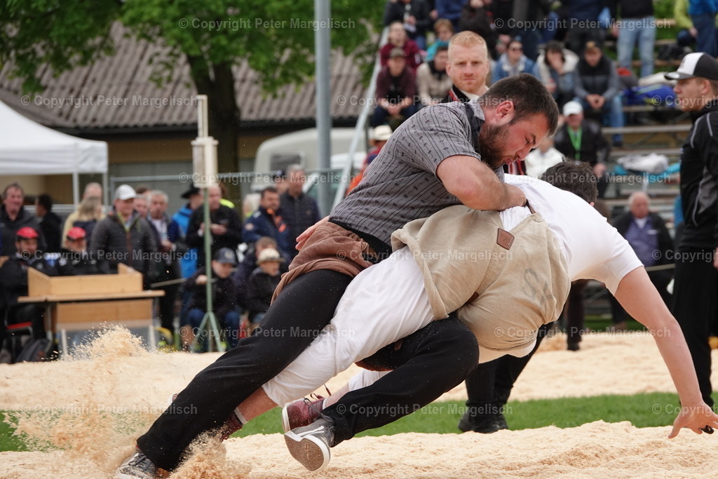 DSC03302 | Schwingen - Realisiert mit Pictrs.com