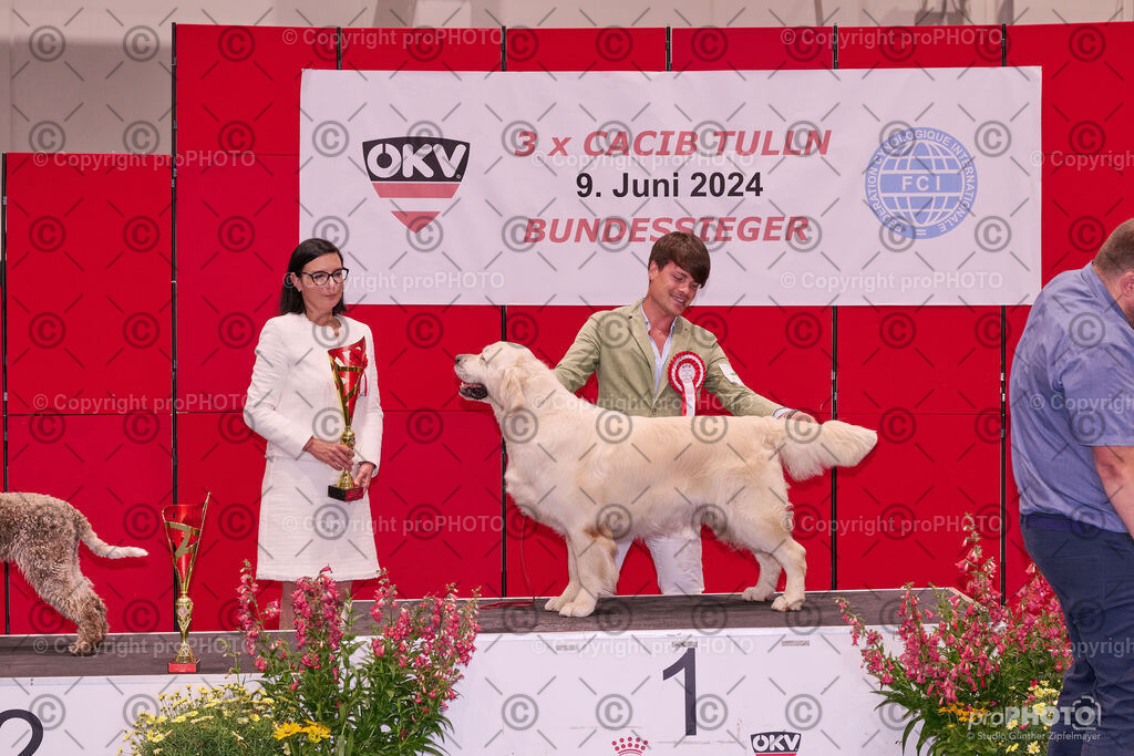 202406_ÖKV-IHA-Tulln24_NZ9_9565 | proPHOTO - Realisiert mit Pictrs.com