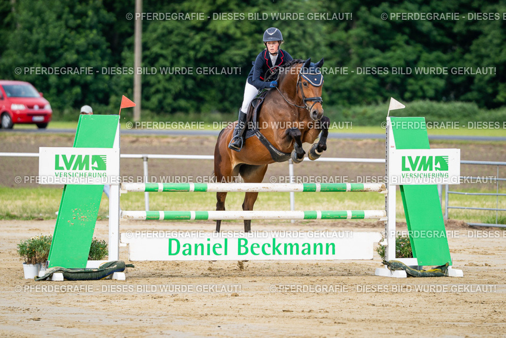 DSC03543 | Pferdegrafie