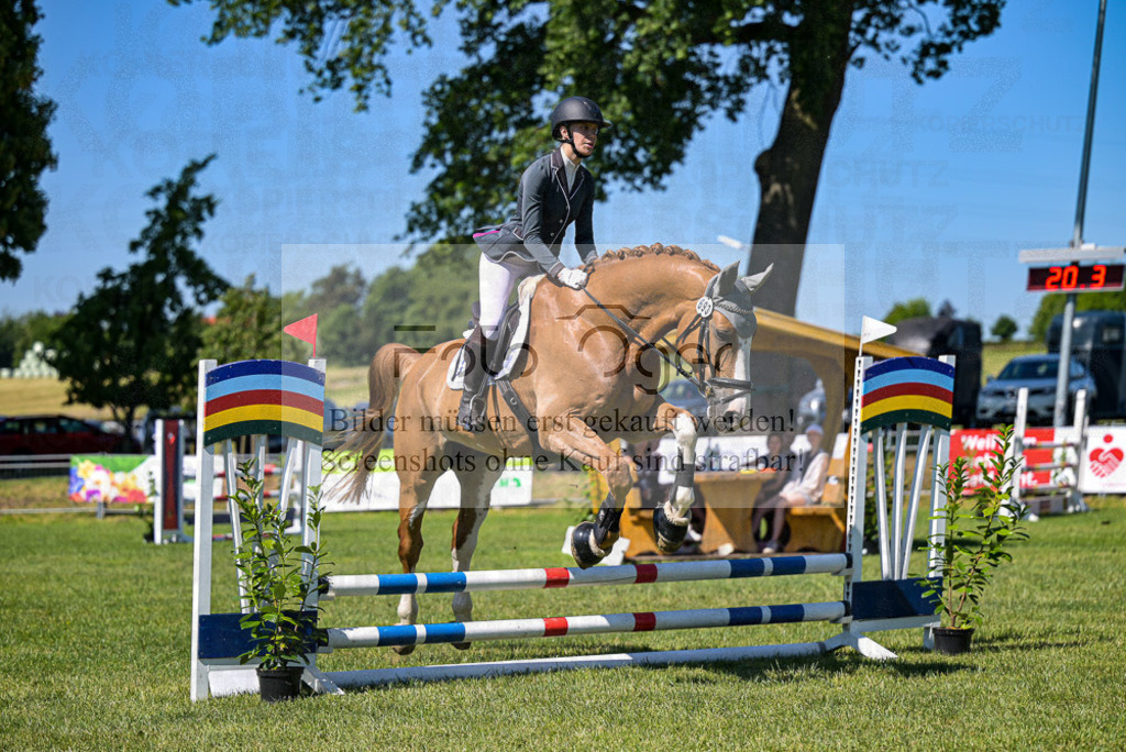 Reitturnier Voxtrup | Entdecke hochwertige Reitturnierfotos von Foto Oger. Professionell, emotional und authentisch – jetzt Lieblingsmomente im Shop bestellen.Deutschlandweite Turnierfotografie. - Realisiert mit Pictrs.com
