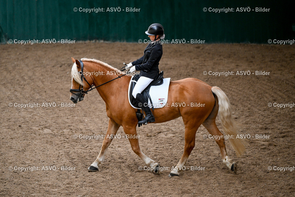 ASVÖ_ Reiten Bezirksmeisterschaft_ 24.08.2025-3 | 24.08.2025, AUT, ASVÖ, Reiten Bezirksmeisterschaft 2025Dressur und Springreiten©fodo.media / Harald Dostal - Realisiert mit Pictrs.com