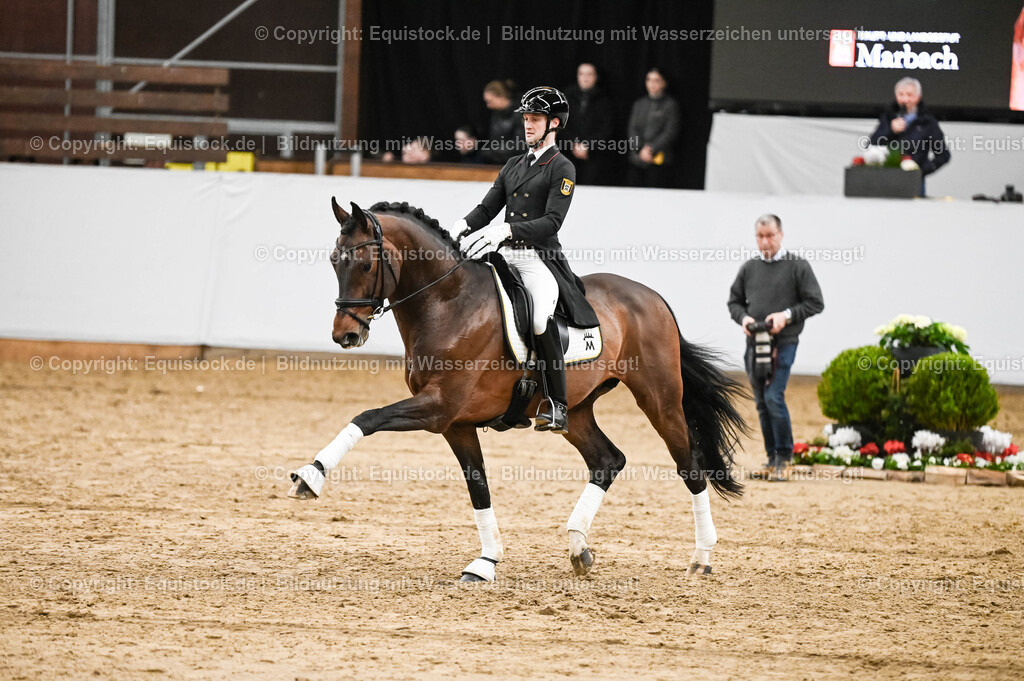 20260307_Hengstvorstellung-Marbach_0387 | equistock