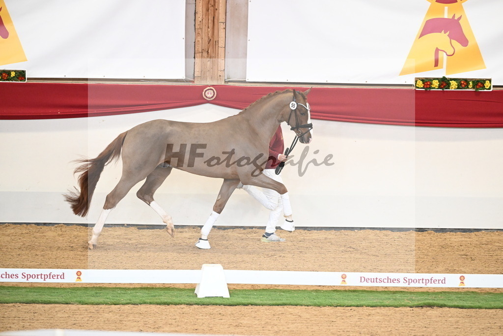 Kat.-Nr. 55 v. Ellis_Senf _ Kampmann_2250395 | hf-fotografie - Realisiert mit Pictrs.com