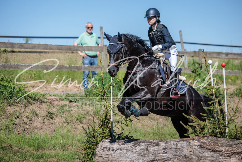 20260523-_3LI7154 | Tierfotografie Pferde, Hunde, Katzen, Haustiere.
Turnierfotografie Reitturniere, Reiten, Springreiten, Dressur in Hanau, dem Main-Kinzig-Kreis und dem Rhein-Main- Gebiet um Frankfurt