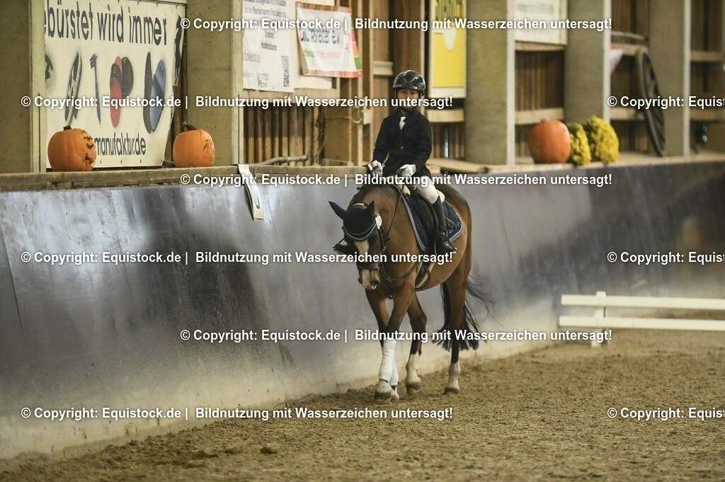 20231029_02_Reiter-WB_Schritt-Trab_Abteilung-04_0019 | Foto: Thomas Hartig