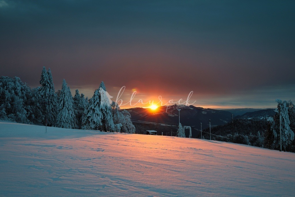 Natur_00014 | Sportbilder, Sportfotograf, Hochzeits- und Eventfotografin, Flugshows, Portraits und Tiershooting, Aviation, Downhill, Nationalleague, Swissleague, International