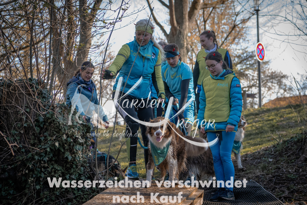 0827_ZZ91021 | kk-dogfotos