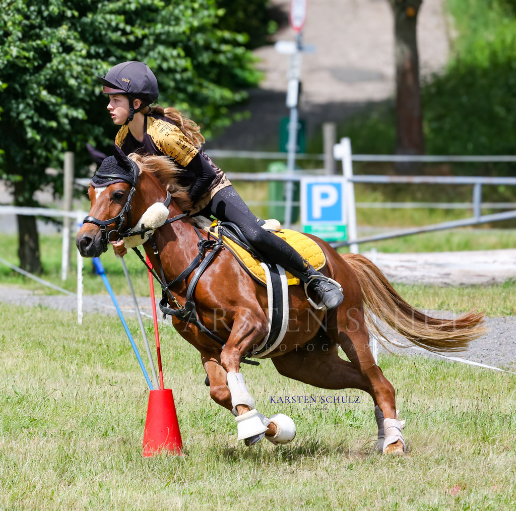 1B3A0592 | Reitsport Reiten