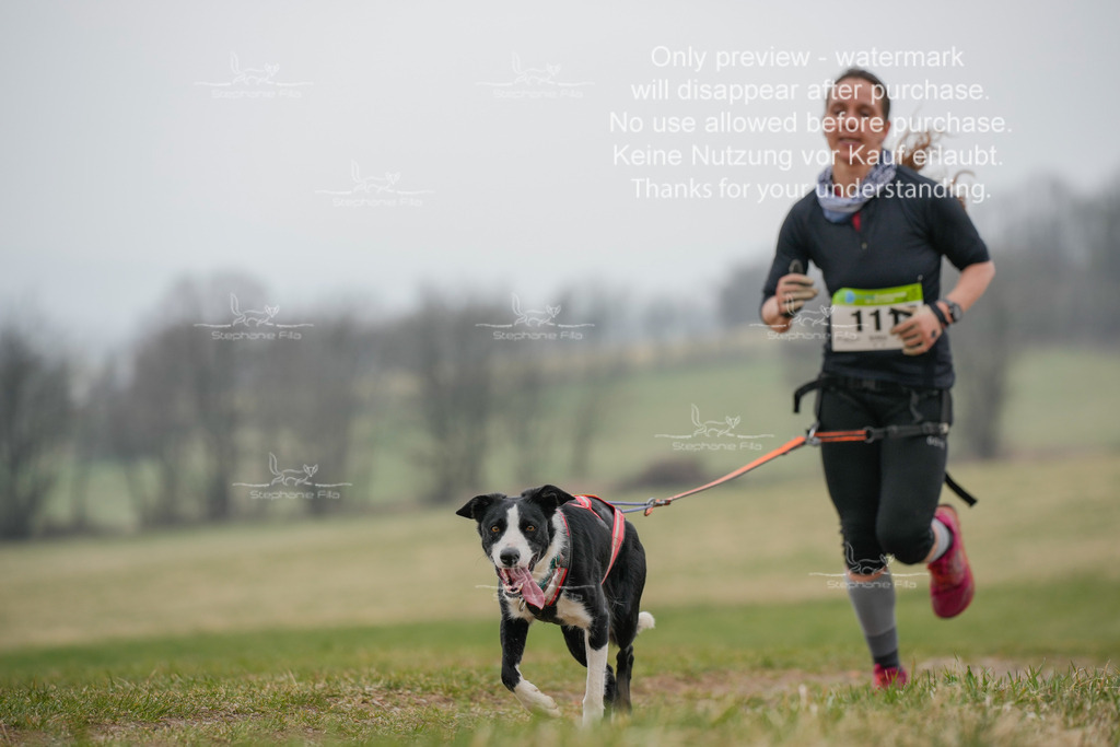 Canixlong-313 | stephaniefillaphotographie - Realisiert mit Pictrs.com