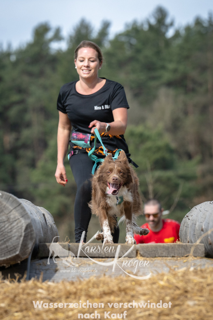 1033_ZZ92350 | kk-dogfotos