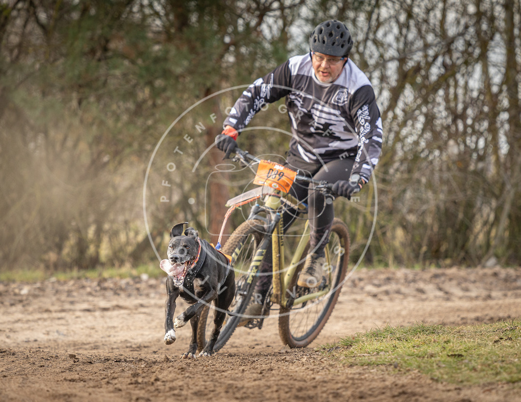 Pfotenfotografie_DV3A8155 | Hundefotografie, Tierfotograf, Pfotenfotografie, Fotoshooting Hund, Hunde Portrait, Hundesport, Hundeportraits, Heideshooting, Hunde, Sportfotograf, Hundefotograf, Turnierhundsport, THS,  - Realisiert mit Pictrs.com
