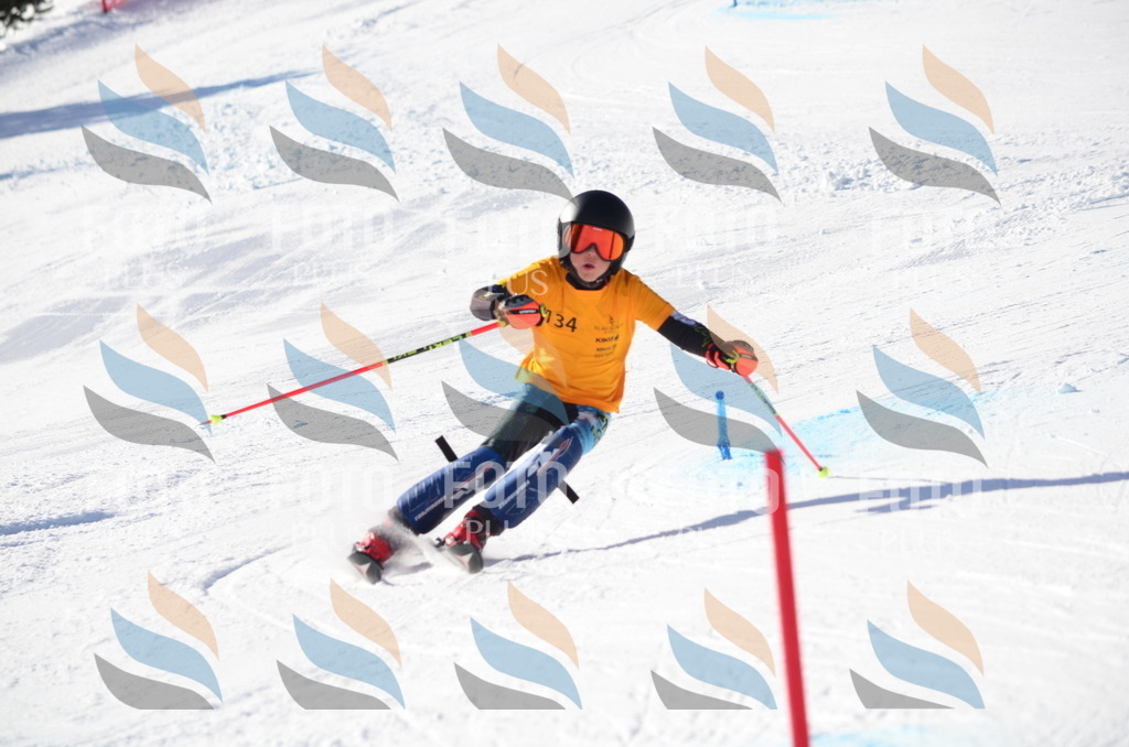 C6471 | holidayphoto