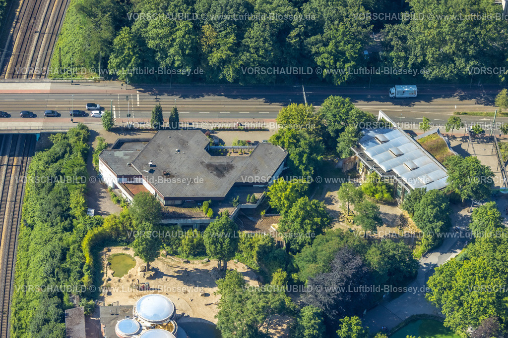 Duisburg230706043 | Luftbild, Zoo Duisburg mit Zooterrassen, Duissern, Duisburg, Ruhrgebiet, Nordrhein-Westfalen, Deutschland