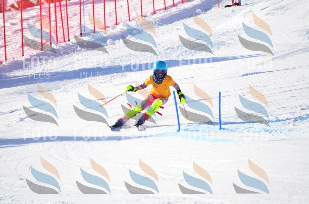 C5828 | holidayphoto