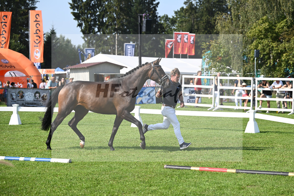 Kat-Nr. 8 Donaus Zupermaus_Pollich_34240228 | hf-fotografie - Realisiert mit Pictrs.com