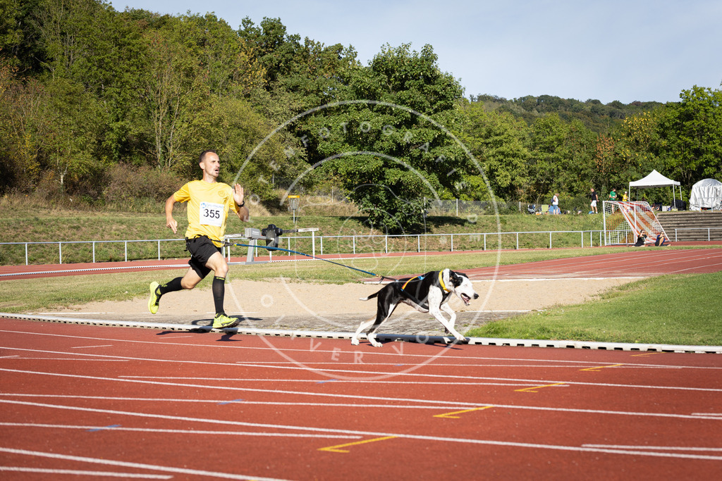 Pfotenfotografie_DV3A0028 | Hundefotografie, Tierfotograf, Pfotenfotografie, Fotoshooting Hund, Hunde Portrait, Hundesport, Hundeportraits, Heideshooting, Hunde, Sportfotograf, Hundefotograf, Turnierhundsport, THS,  - Realisiert mit Pictrs.com