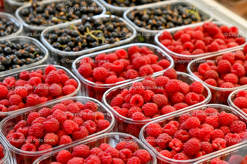 Erdbeeren_ Himbeeren_ Ribisel_ Mayer_ 20.06.2023-31 | 20.06.2023, Raffelding, AUT, Erdbeeren, Himbeeren, Ribisel, Mayer, im Bild Himbeeren, und schwarze Ribisel
