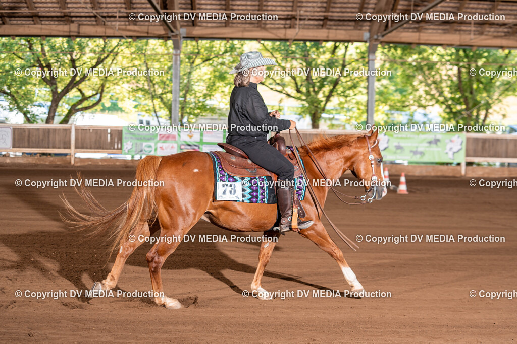 Erbach Tag 3-292 | dv-media-shop - Realisiert mit Pictrs.com