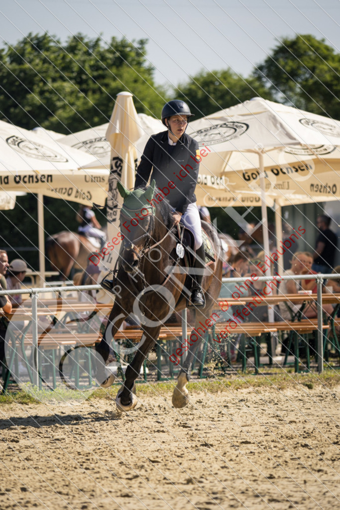 IMG_2900 | Sport-, Event- und Tierfotos in Profiqualität. Einfach auswählen, bestellen und herunterladen. Dein Moment – perfekt festgehalten.