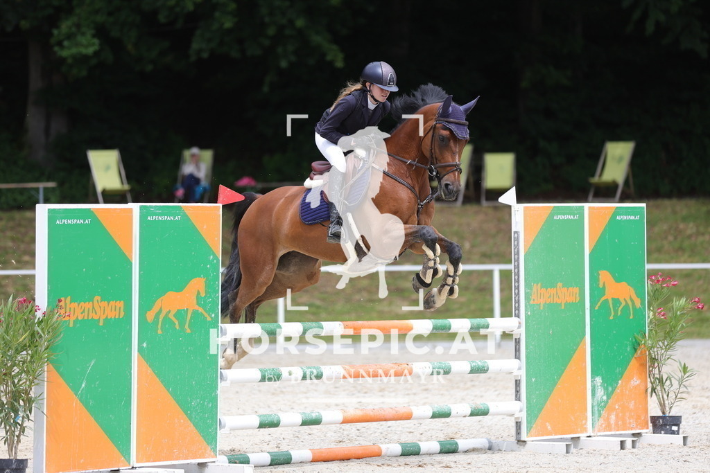 0P6A3770 | Willkommen bei Brunnmayr - Design & Fotografie – Ihrem Spezialisten für Reitturniere und Pferdeveranstaltungen in Oberösterreich, Salzburg und Bayern! Seit über 17 Jahren sind wir leidenschaftlich dabei.