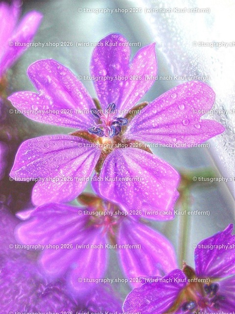 titusgraphy_P5287139vz-ln_pe_var-01 | titusgraphy-shop: Geschenkideen mit Qualitätsfotos. titusgraphy-shop: gift ideas with quality photos. titusgraphy-shop: idées cadeaux avec photos de qualité.  - Realisiert mit Pictrs.com