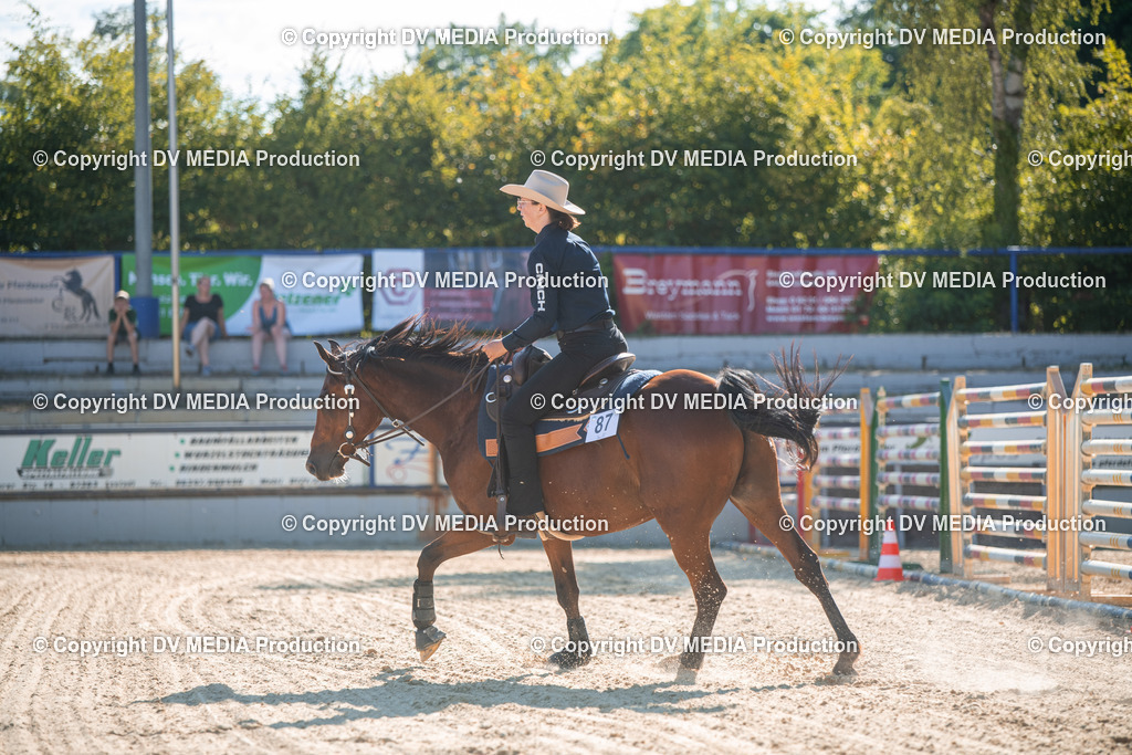 EWP_7023 | dv-media-shop - Realisiert mit Pictrs.com