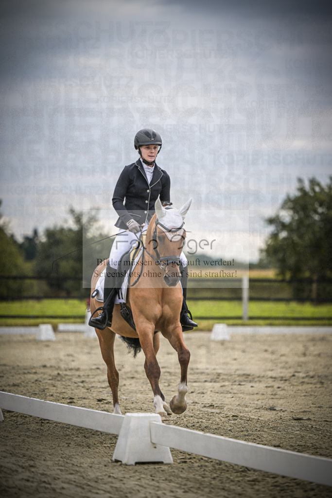 DOS_2193 | Entdecke hochwertige Reitturnierfotos von Foto Oger. Professionell, emotional und authentisch – jetzt Lieblingsmomente im Shop bestellen.Deutschlandweite Turnierfotografie. - Realisiert mit Pictrs.com