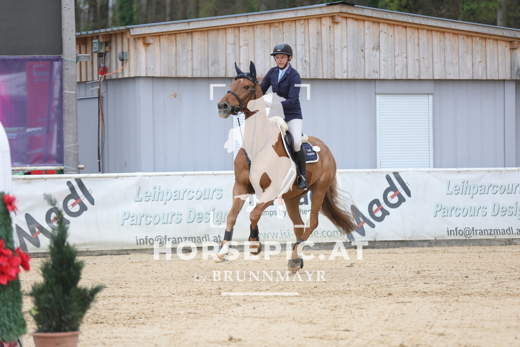 0P6A3840 | Willkommen bei Brunnmayr - Design & Fotografie – Ihrem Spezialisten für Reitturniere und Pferdeveranstaltungen in Oberösterreich, Salzburg und Bayern! Seit über 17 Jahren sind wir leidenschaftlich dabei.