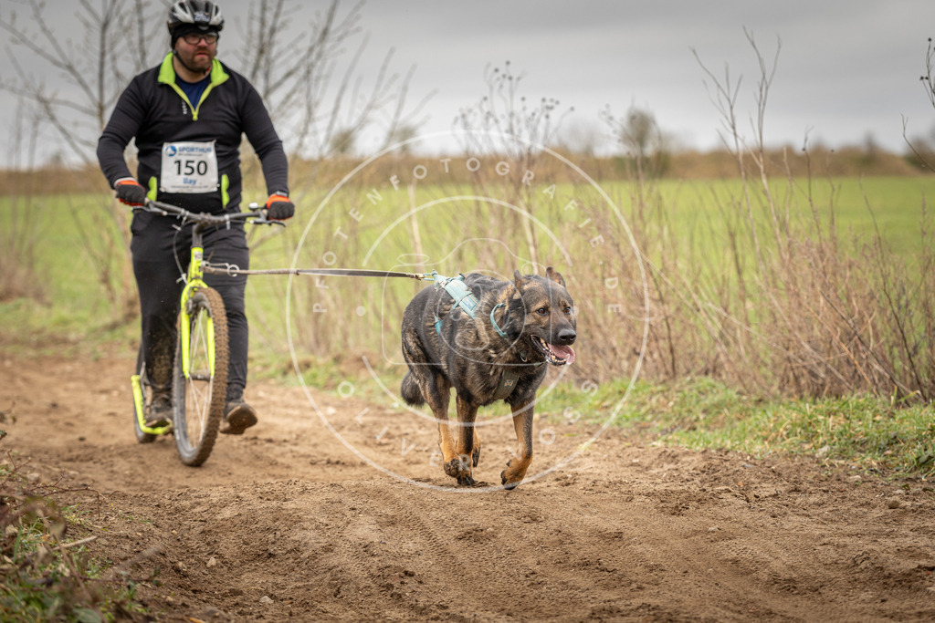 DV3A1532 | Hundefotografie, Tierfotograf, Pfotenfotografie, Fotoshooting Hund, Hunde Portrait, Hundesport, Hundeportraits, Heideshooting, Hunde, Sportfotograf, Hundefotograf, Turnierhundsport, THS,  - Realisiert mit Pictrs.com