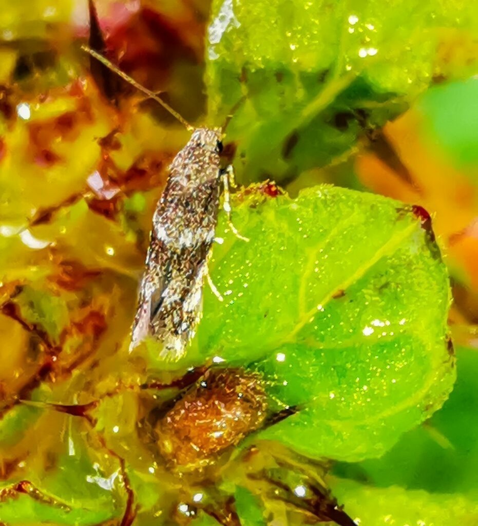 PSX_20220831_225214 | mtkfoto_ - Realisiert mit Pictrs.com