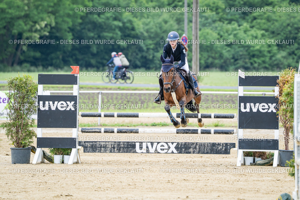 DSC03275 | Pferdegrafie