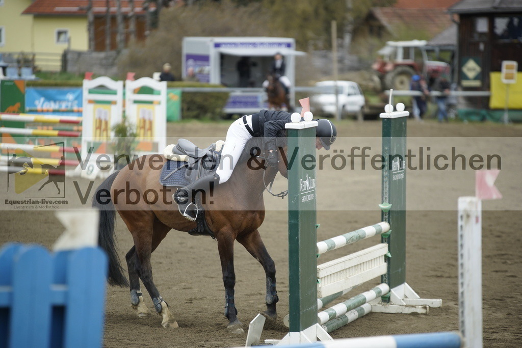 _DSC7121 | equestrian-live-com