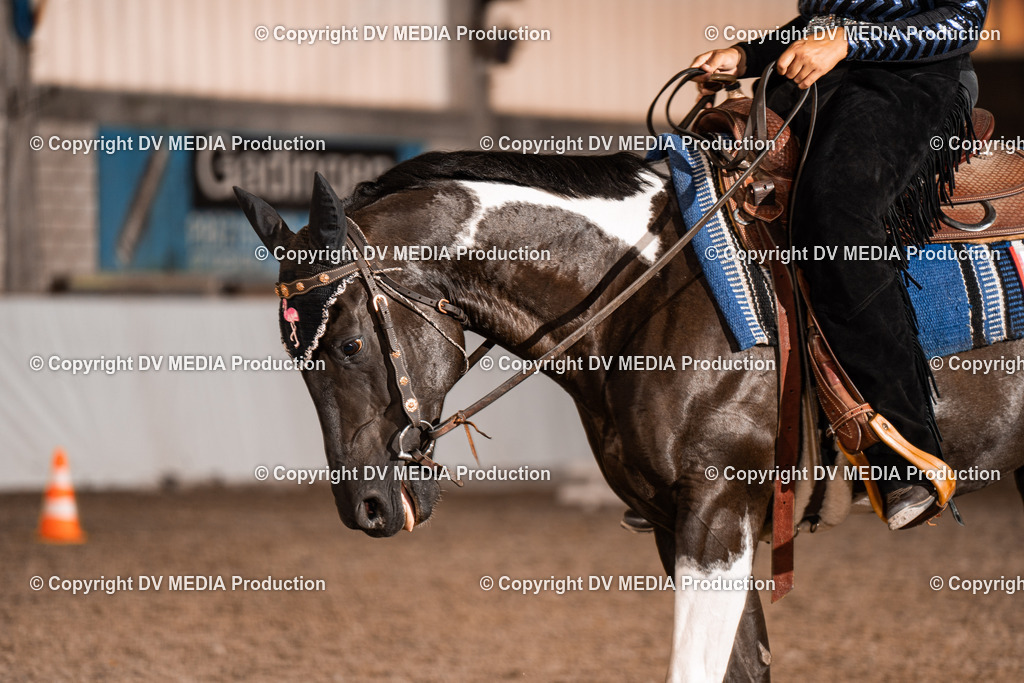 ZH200407 | dv-media-shop - Realisiert mit Pictrs.com