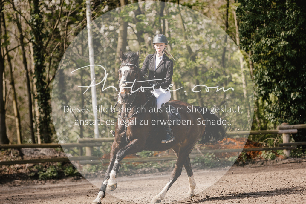 3I6A4145 | Stimmungsvolle Portraits und Reitsportfotografie im Ruhrgebiet und im Münsterland.

Pferdefotografie, Hundefotografie, Tierfotografie, Reportagen, Portraits von Tier und Mensch, Turnierfotografie in Bochum, Recklinghausen, Marl, Haltern am See, Dülmen.. - Realisiert mit Pictrs.com