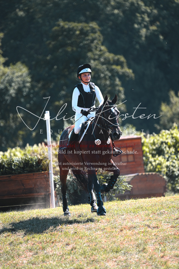 DSC_8216 | Pferde- und Turnierfotografie in Westsachsen. Pferdeportraits, Auftragszeichnungen und intuitive Kunst.