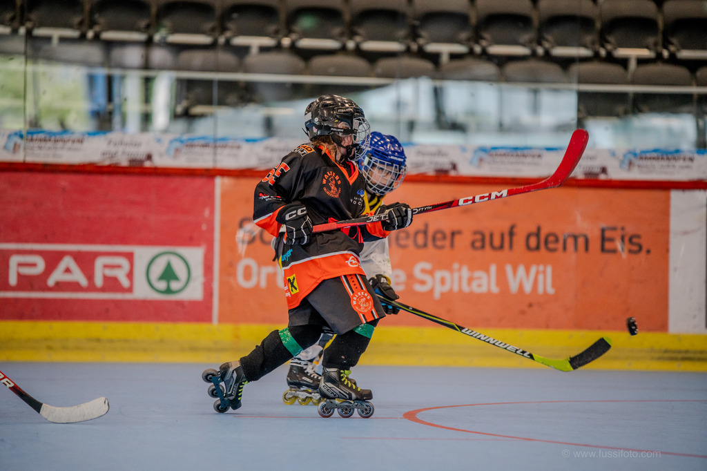 DSC_6567 | "Fussifoto.com – Ihr Ansprechpartner für hochwertige Fotografie! Entdecken Sie kreative Bilder und professionelle Dienstleistungen. Kontaktieren Sie uns für Ihre Projekte!"