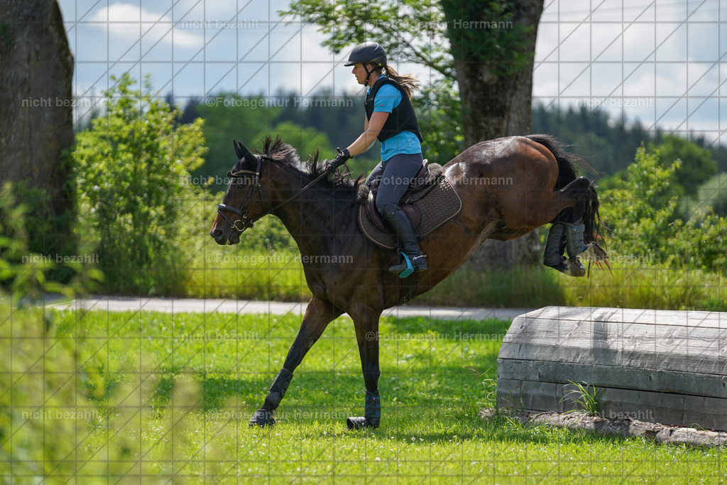 20240622-FAH07780 | Turnierfotografen Bayern, Reitsportbilder aus dem Geländekurs mit Felix Etzel auf dem Gut Waitzacker 2024