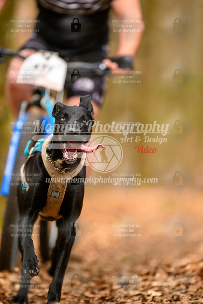 MompixPhotography_Habay2025_SA_Bike-136 | PayLife